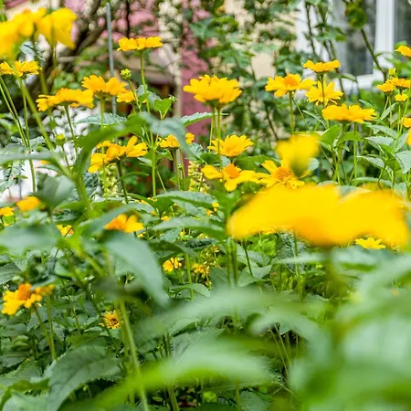 Peak - Park Szczesliwicki, Blue City, Dworzec Zachodni, Lotnisko, Metro Apartmán *