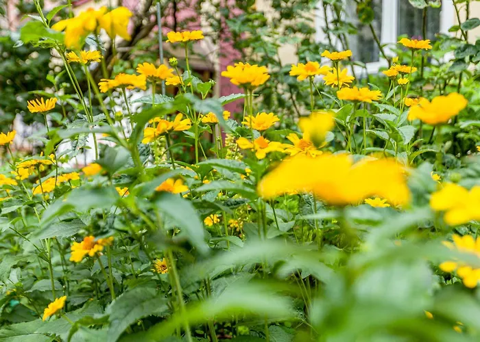 Peak - Park Szczesliwicki, Blue City, Dworzec Zachodni, Lotnisko, Metro Apartment *